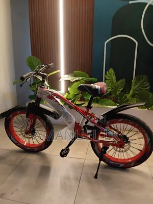 በወፍራም ጎማ BMX Bicycle