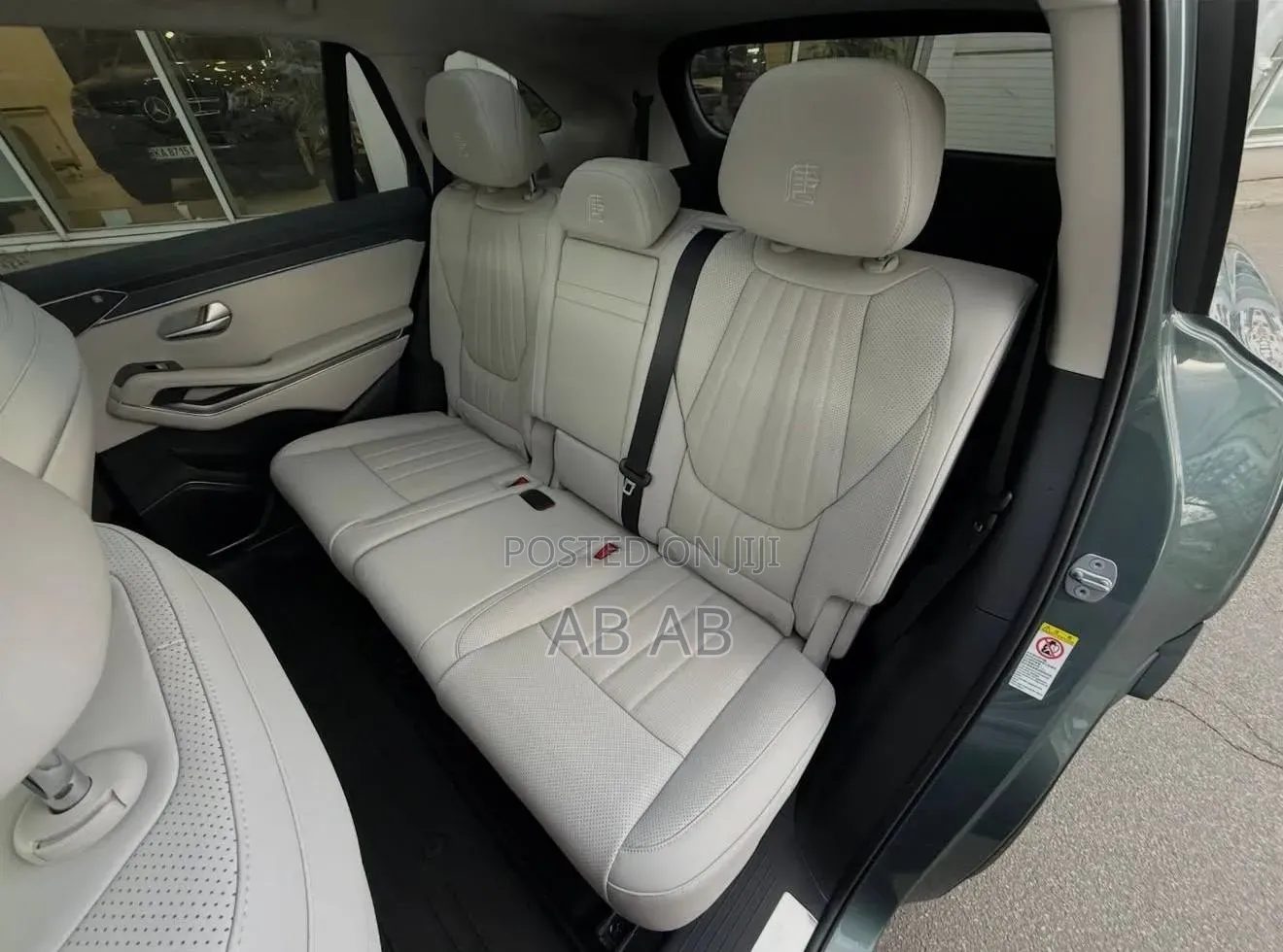 New BYD Tang EV 2025 Green