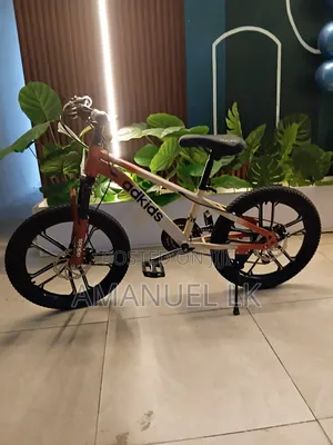 Bicycle Bike