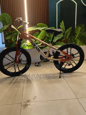 Bicycle Bike
