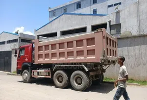 Sinotruk Howo 2022 Red
