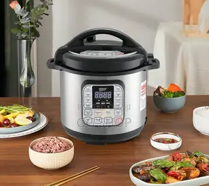 WTRTR 9Liter Pressure Cooker