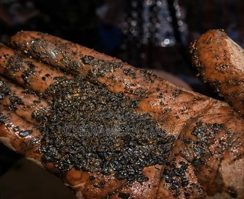 Underground Water Drilling