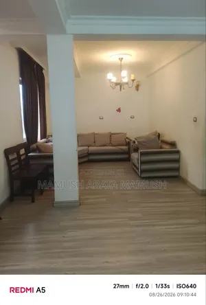 Furnished 3bdrm Apartment in አባቸዉ, Bole for sale