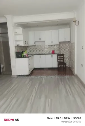 Furnished 3bdrm Apartment in አባቸዉ, Bole for sale