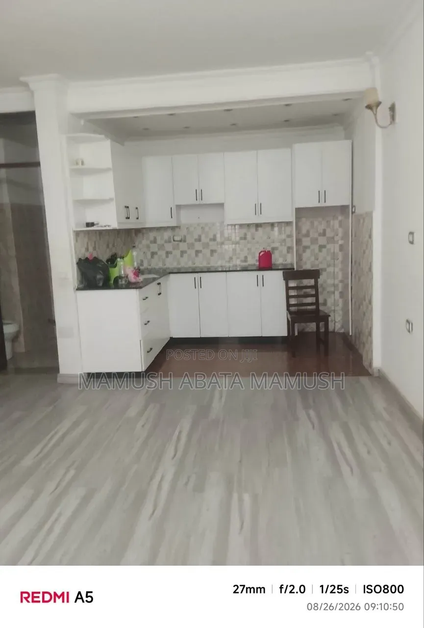 Furnished 3bdrm Apartment in አባቸዉ, Bole for sale
