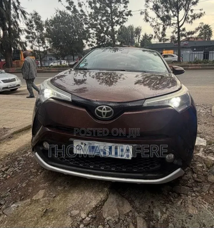Toyota C-HR 2017 Brown