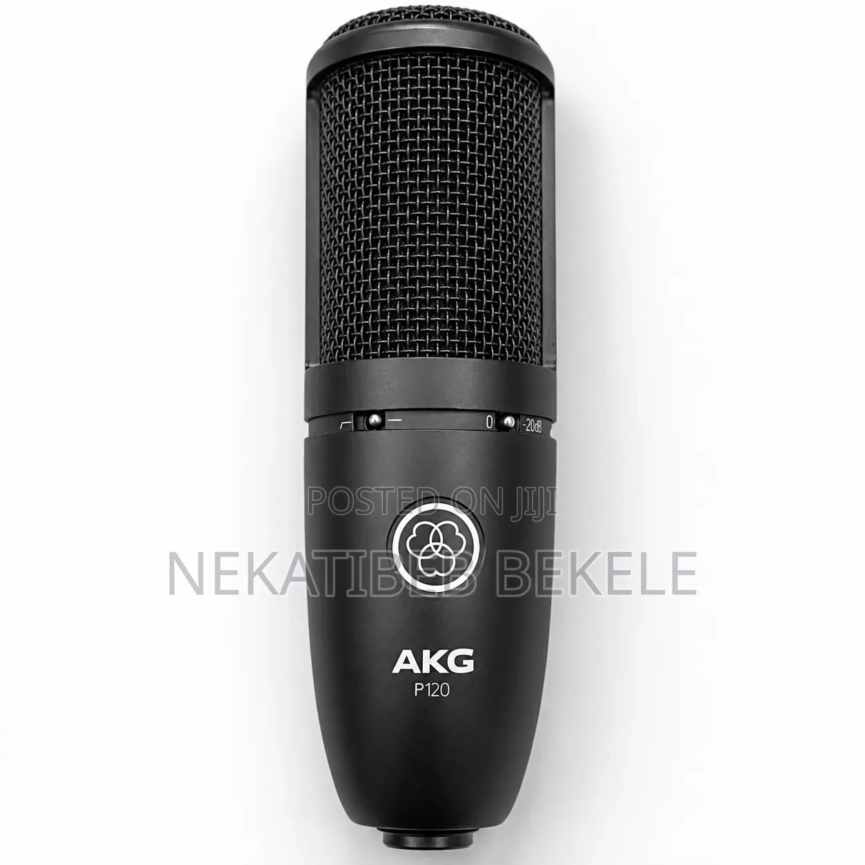AKG P120 Condenser Microphone