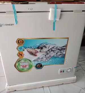 Everst Ecr 260 Model Chest Freezer