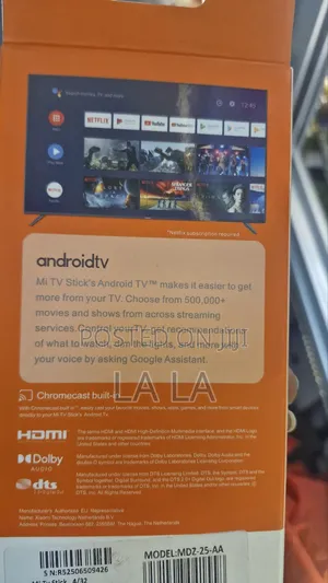 Mi TV Stick