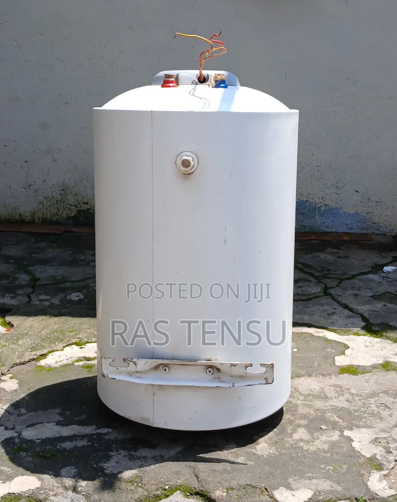 Electa 80L Electric Water Heater/Boiler
