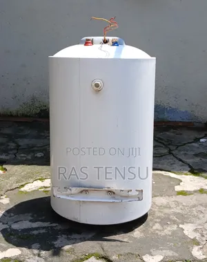 Electa 80L Electric Water Heater/Boiler