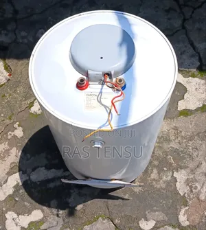 Electa 80L Electric Water Heater/Boiler