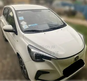 Changan BenBen E-Star 2024 White