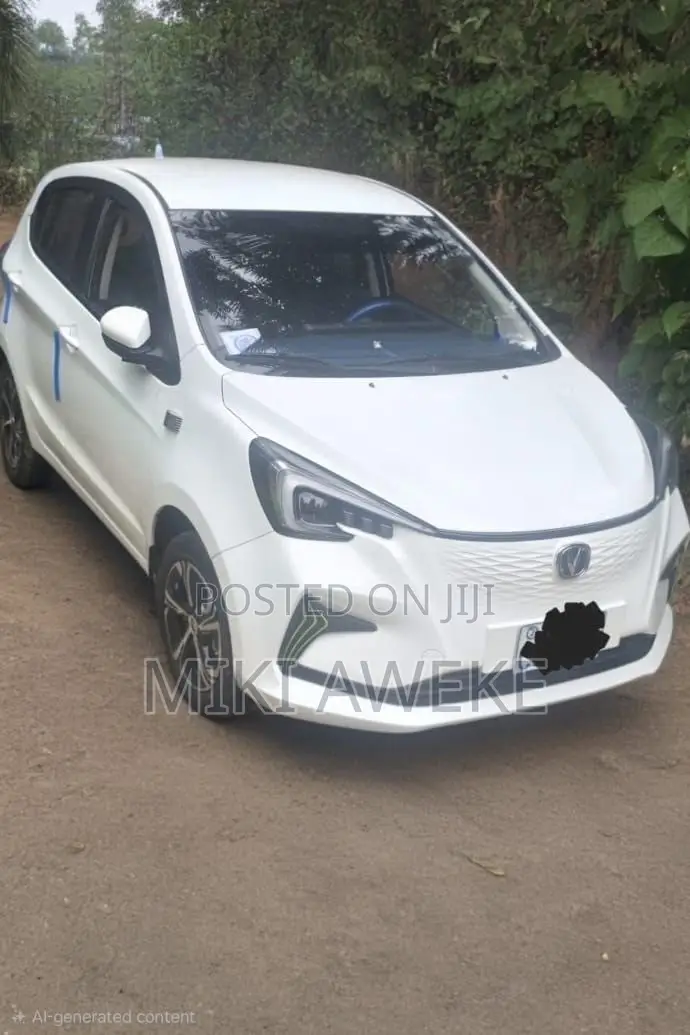 Changan BenBen E-Star 2024 White