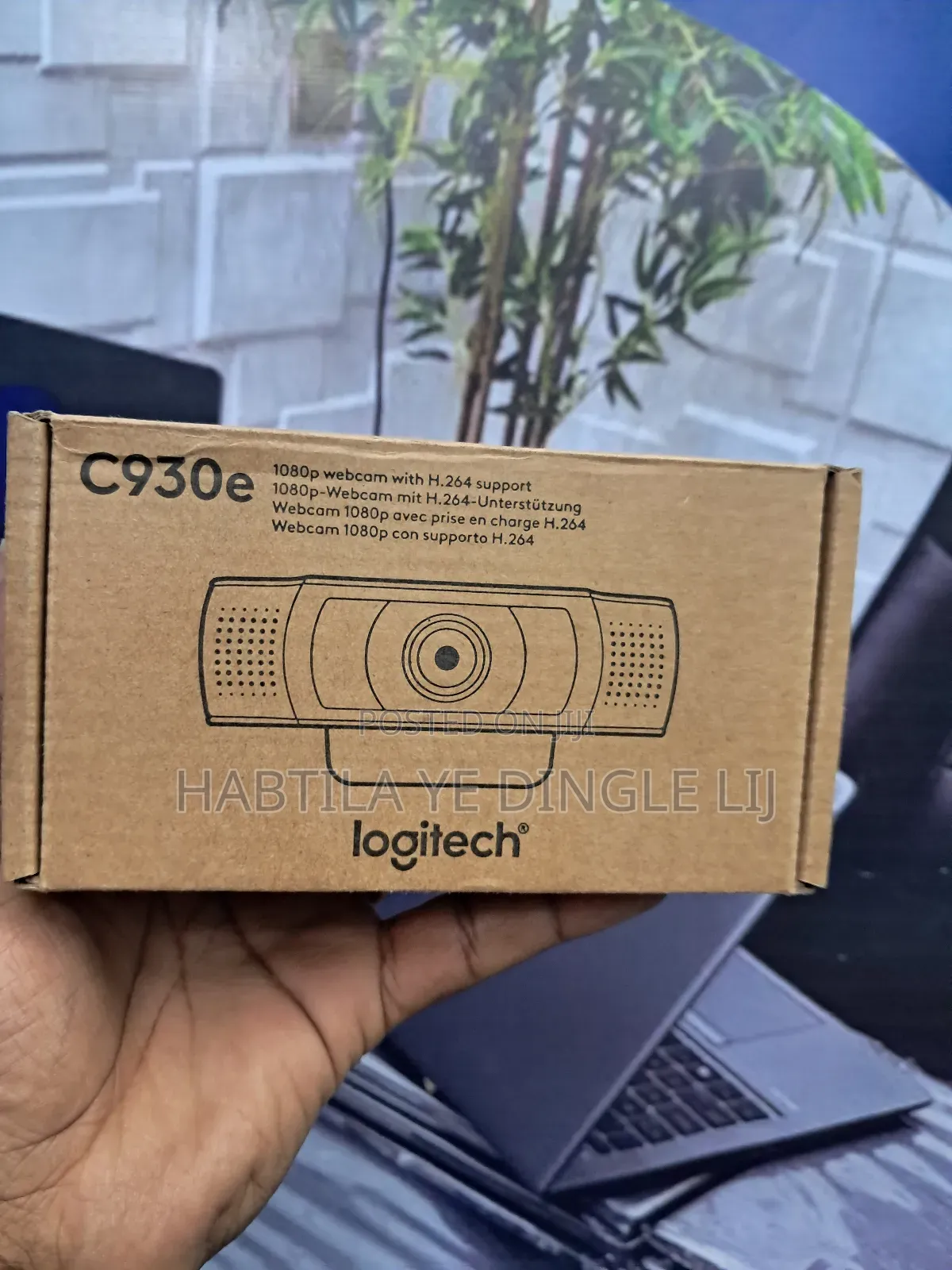 Logitech C930e