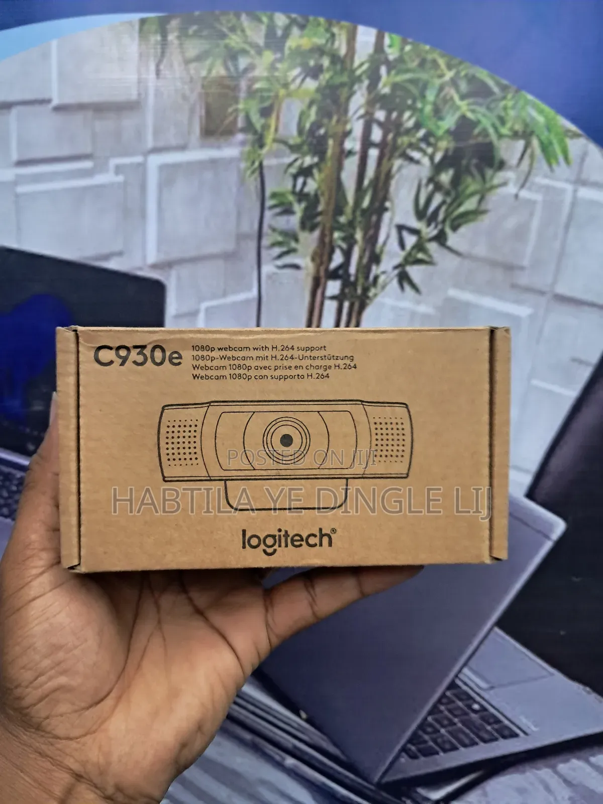Logitech C930e