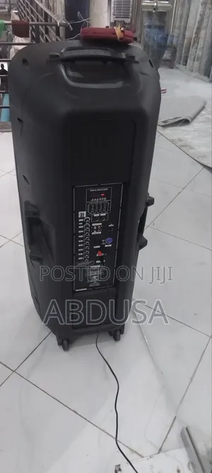 2*15"Active Speaker 2000 W በተመጣጣኝ ዋጋ ገብቷል በብዛትም ሆነ በፍሬ እንሽጣለን