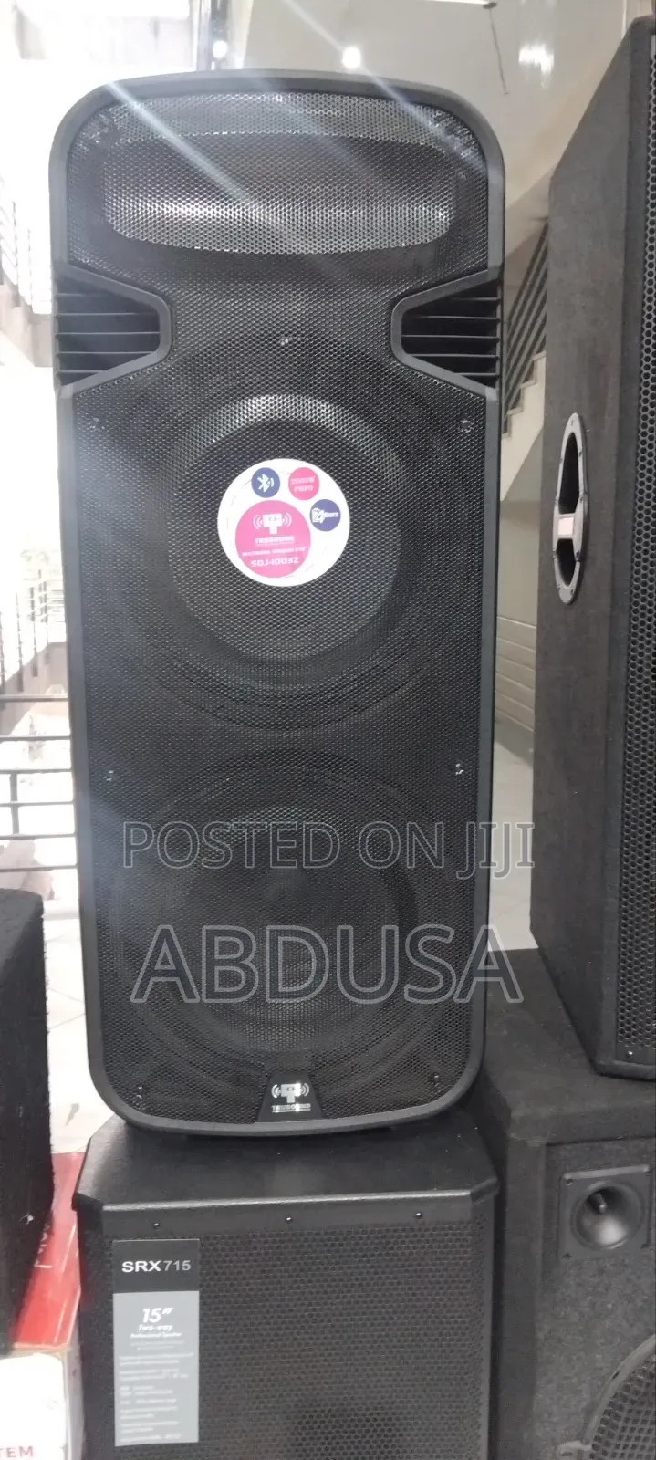 2*15"Active Speaker 2000 W በተመጣጣኝ ዋጋ ገብቷል በብዛትም ሆነ በፍሬ እንሽጣለን