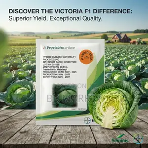 Seminis Victoria F1 Hybrid Cabbage Seeds ድብልቅ ጎመን ዘሮች