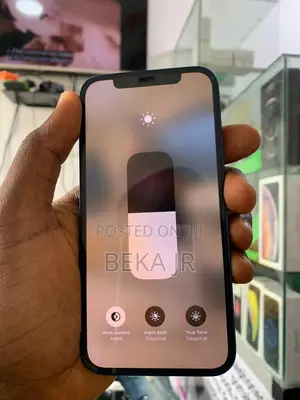 Apple iPhone 11 Pro Max 256 GB Green