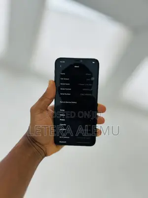 Apple iPhone 11 Pro Max 256 GB Gray