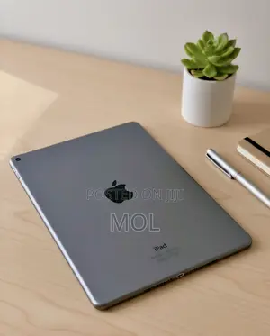 Apple iPad Air 2 64 GB Silver
