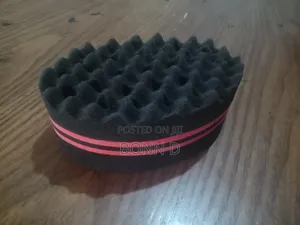 Hair Sponges