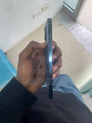 Apple iPhone 12 Pro Max 256 GB Blue