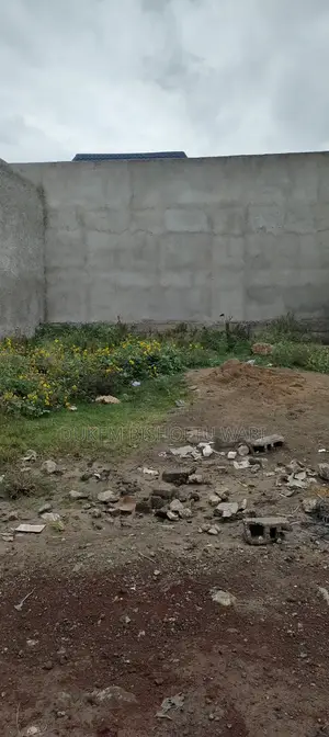 Bishoftu Dukem