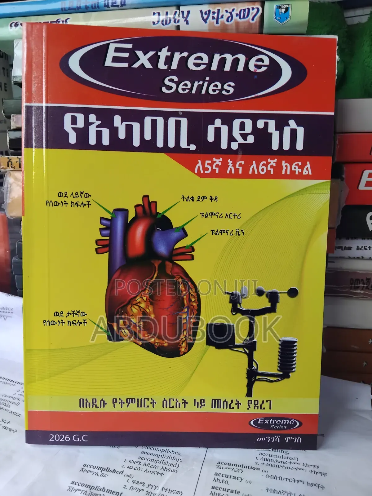 All Extreme Guide for Grade 5-6