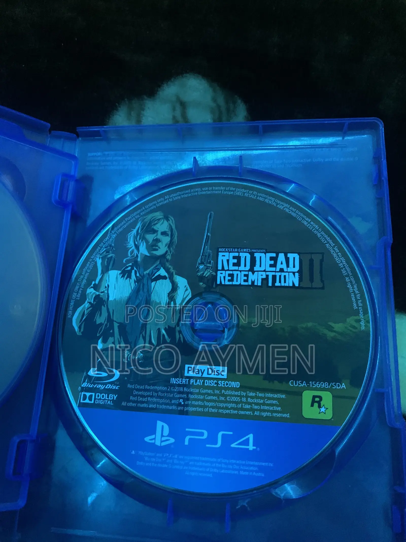 Video Game
