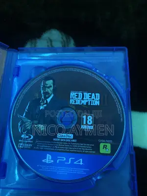 Video Game