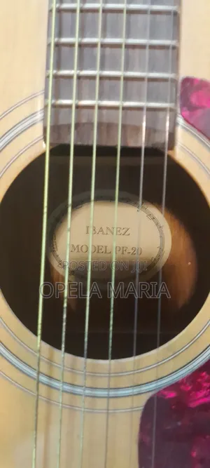 Guitar for Sell