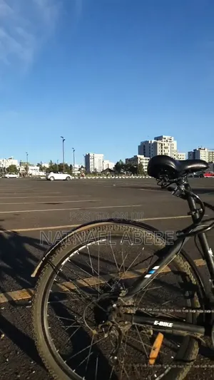Bosco Ebike