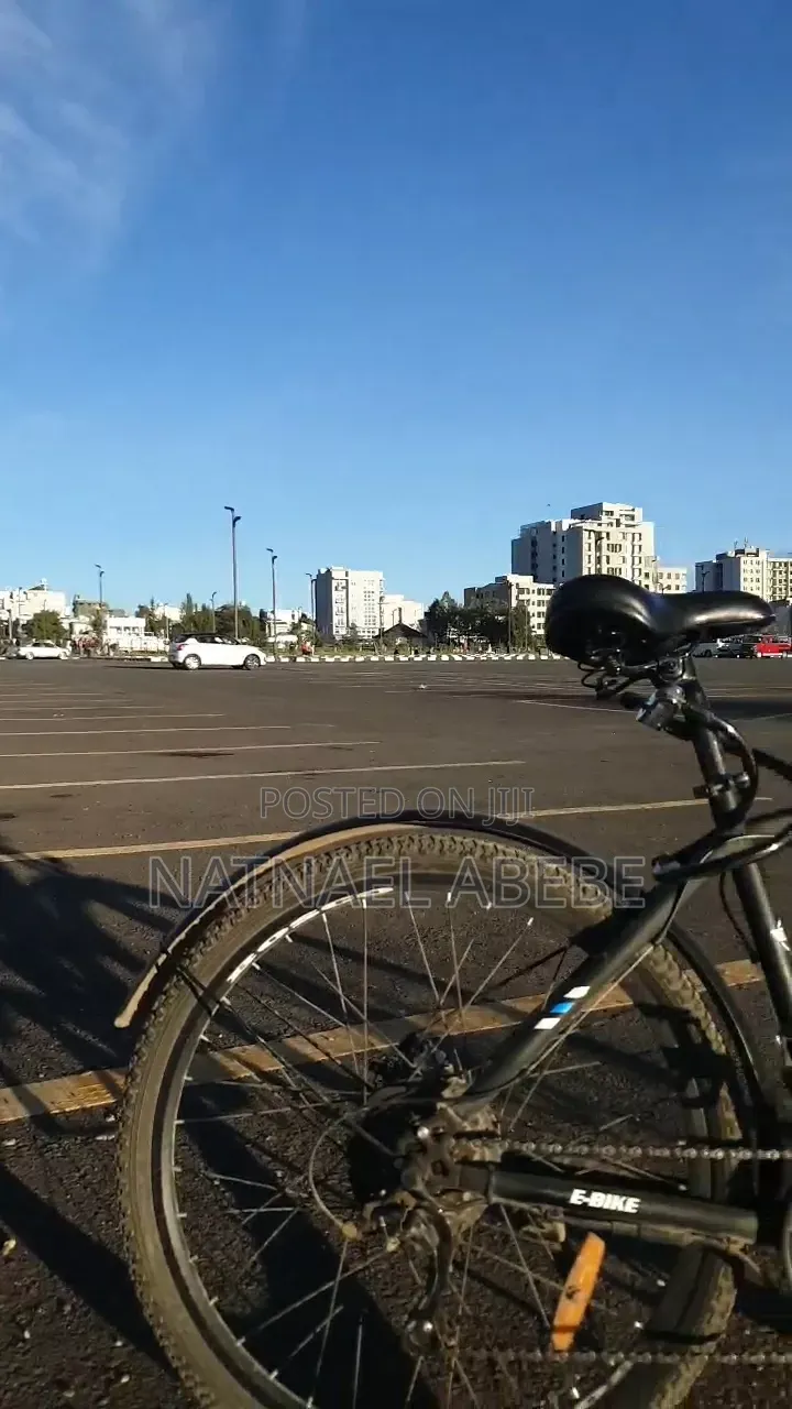 Bosco Ebike