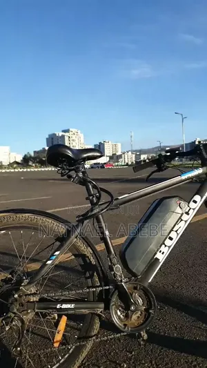 Bosco Ebike