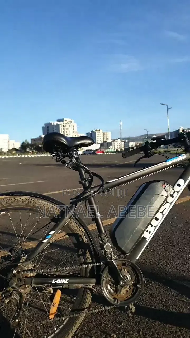Bosco Ebike