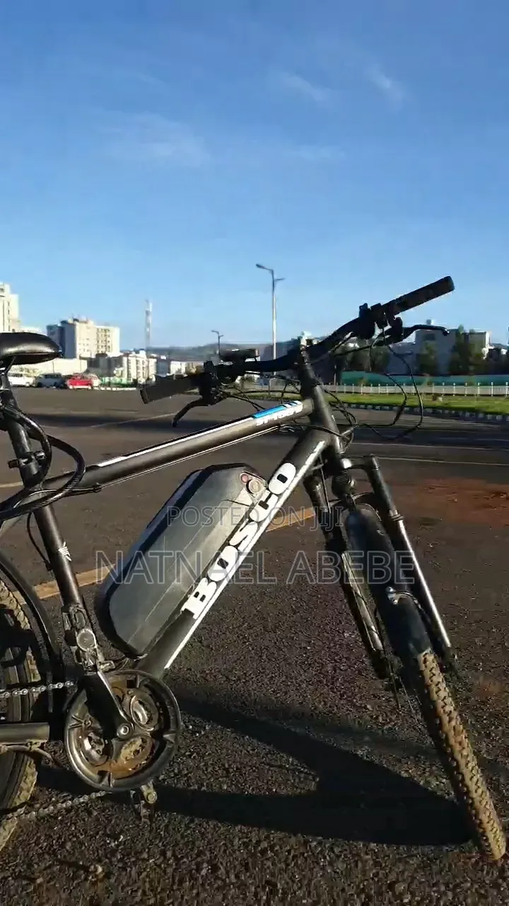 Bosco Ebike