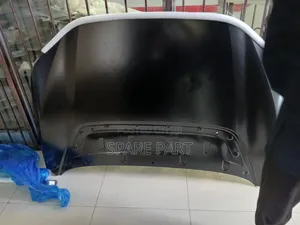 Bz4x Hood Orginal