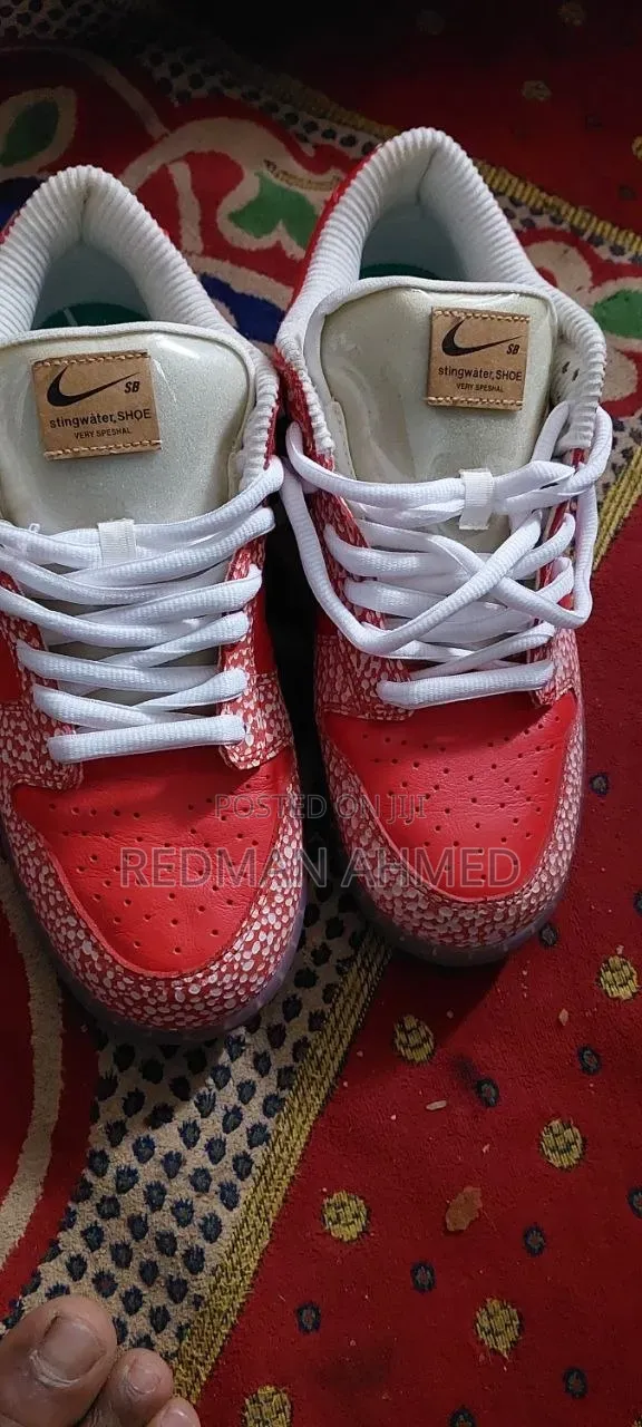 Nike Dunk Stingwater