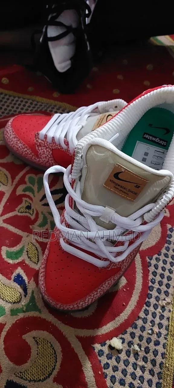Nike Dunk Stingwater