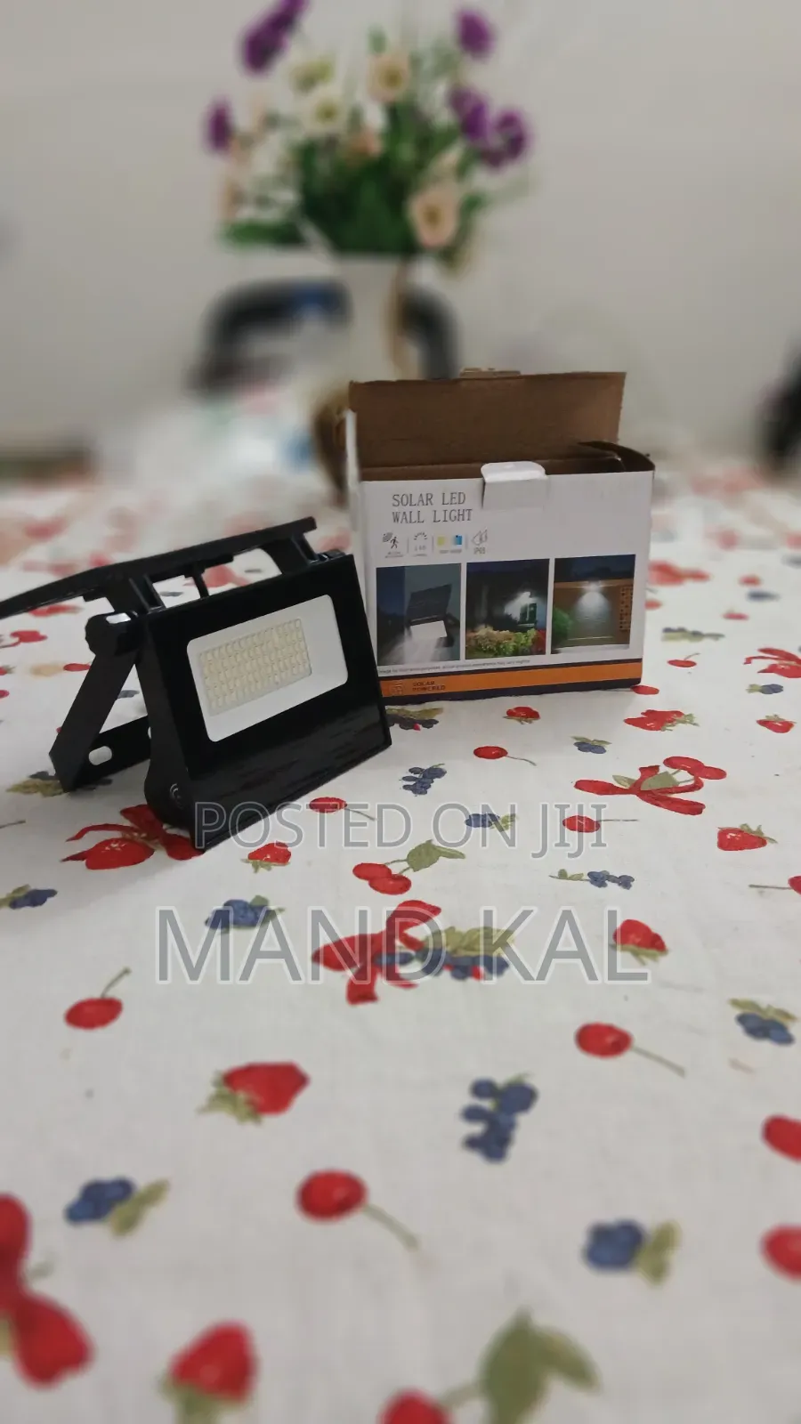 Solar Led Lights