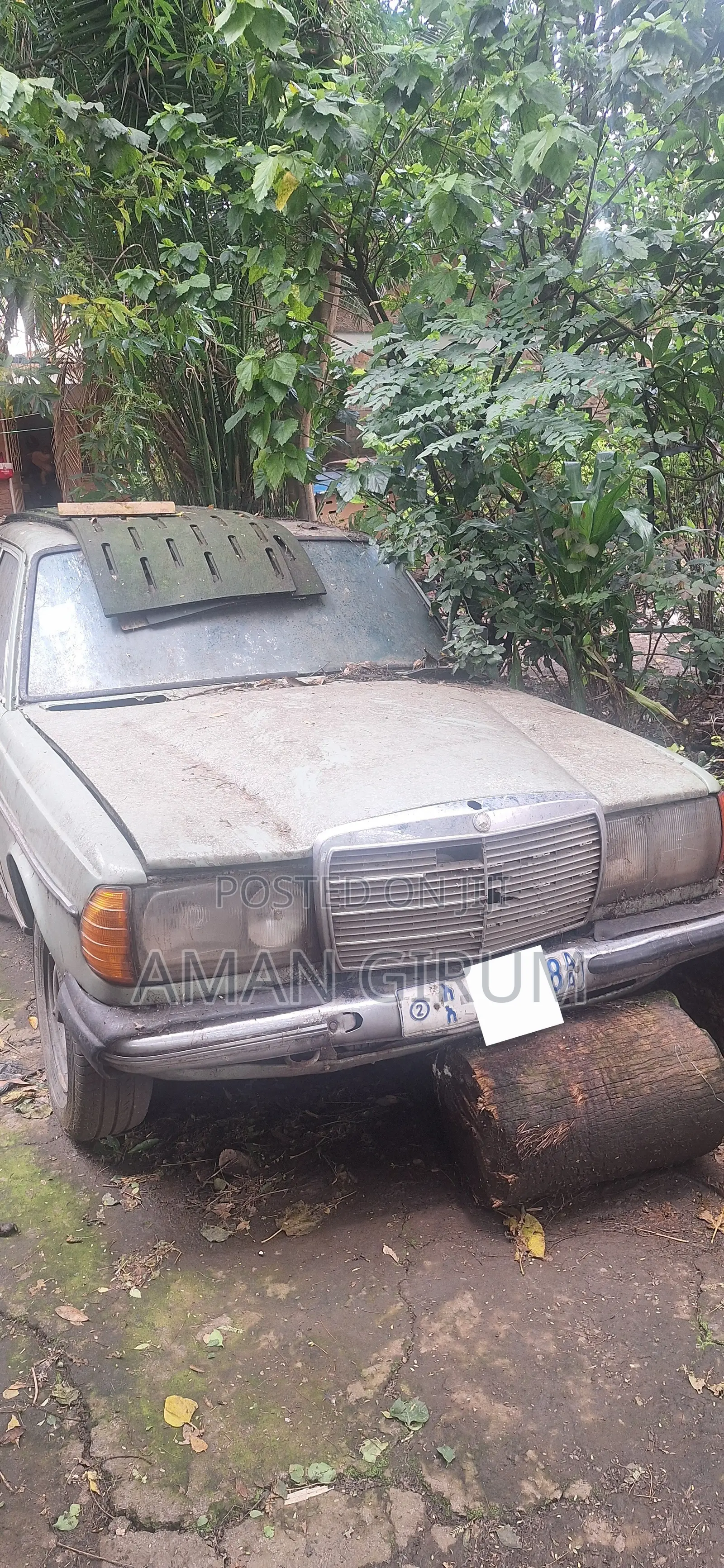 Mercedes-Benz W123 1979 Green