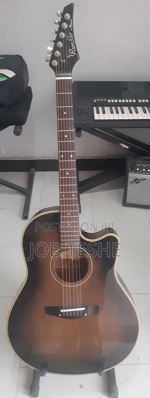 Guitar Acoustic Electric