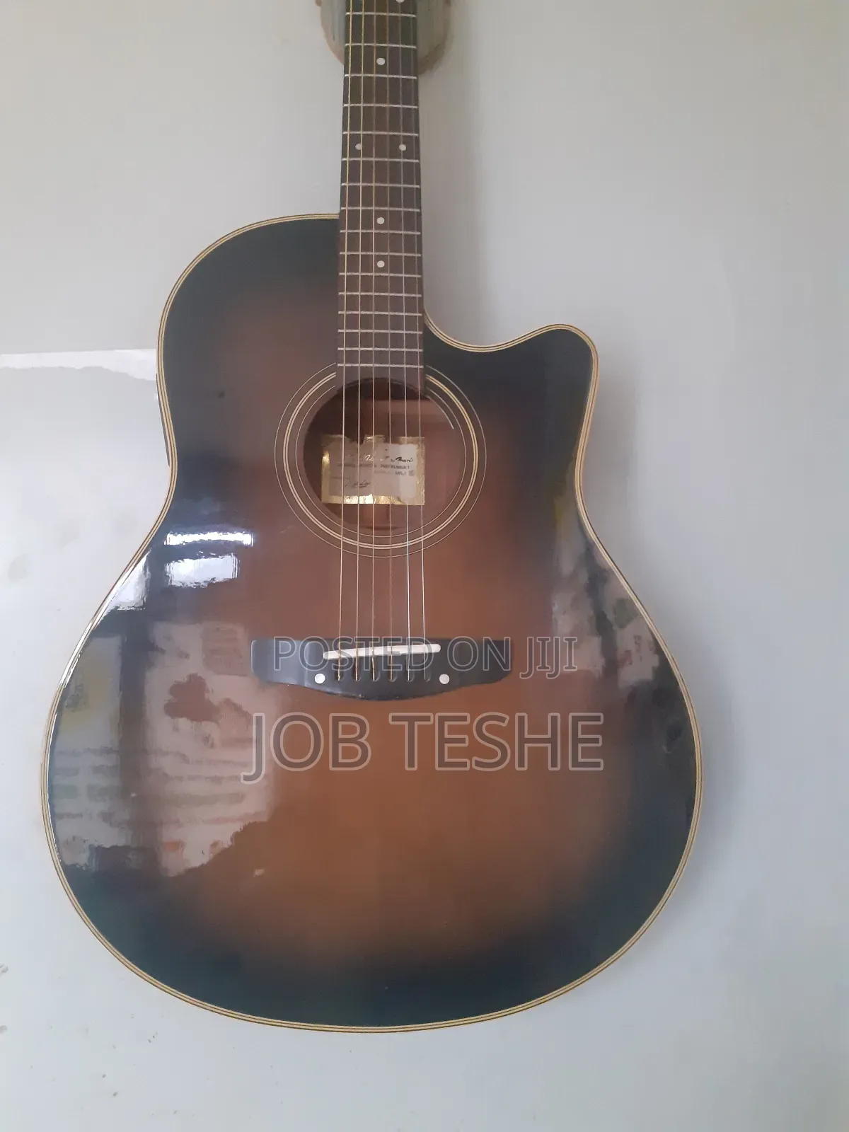 Guitar Acoustic Electric