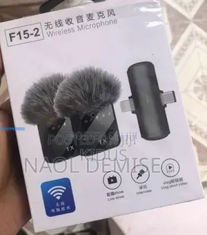 Wireless Mic