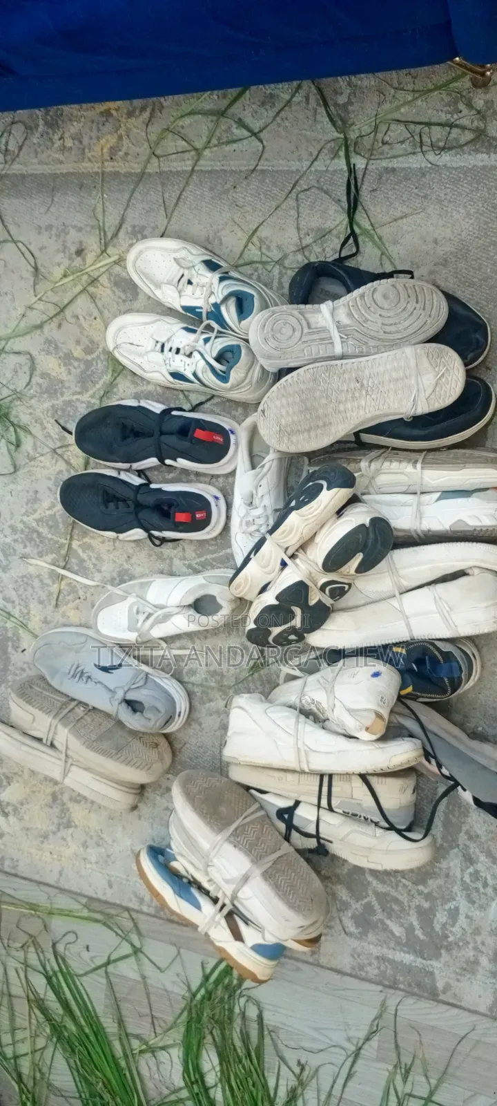 Torshin Shoe