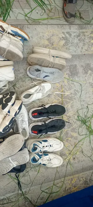 Torshin Shoe