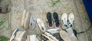 Torshin Shoe